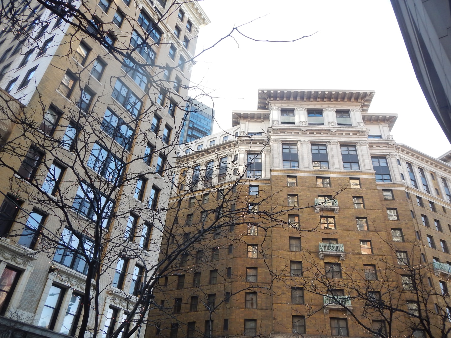 The Saint Paul Hotel - View 5