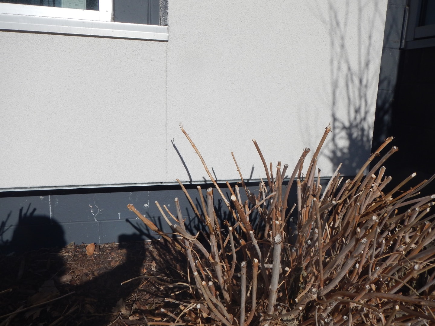 Whiting Clinic Lasik & Cataract - View 6