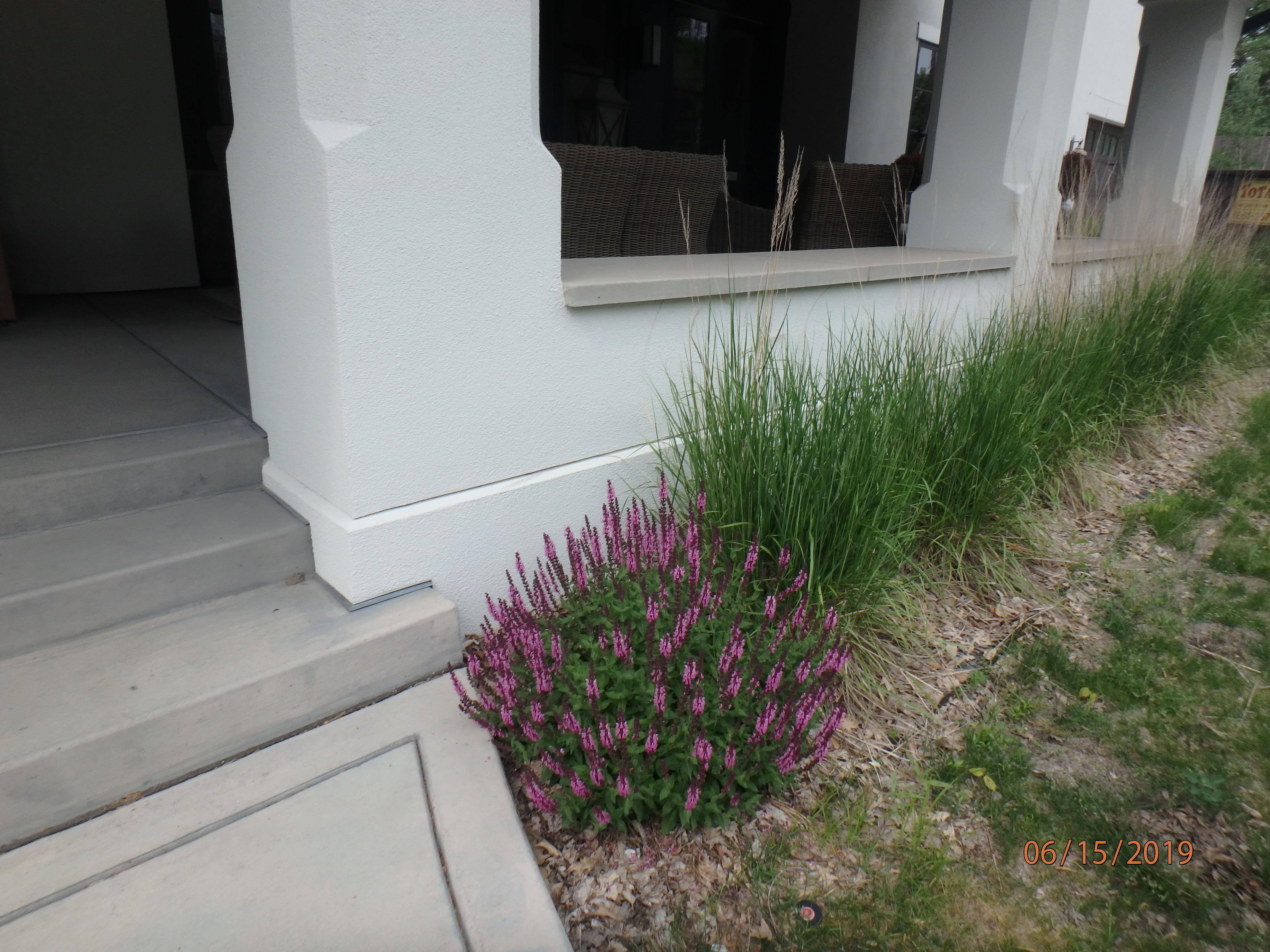 EIFS Finish - View 3